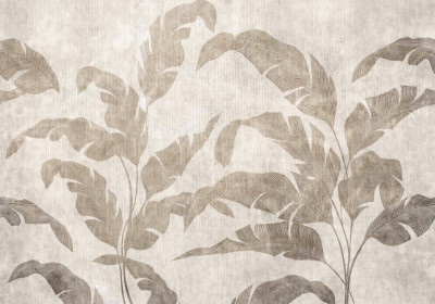 Cordonne - Leaves Shadow