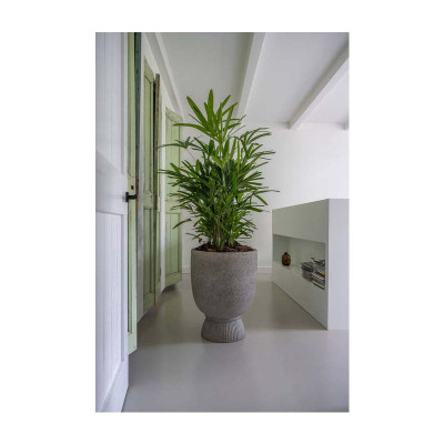 Jola High L, Diorite Grey kaspó